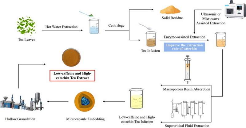 How To Extract Caffeine From Green Tea?