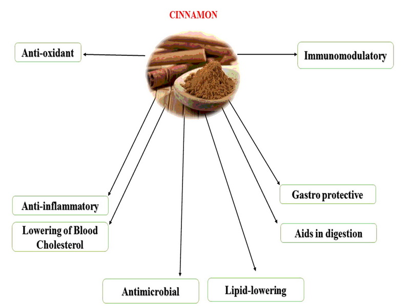 Are There Any Side Effects Of Using Cinnulin PF Cinnamon Bark Extract?
