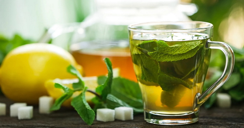 Is Liquid Green Tea Extract Good for You