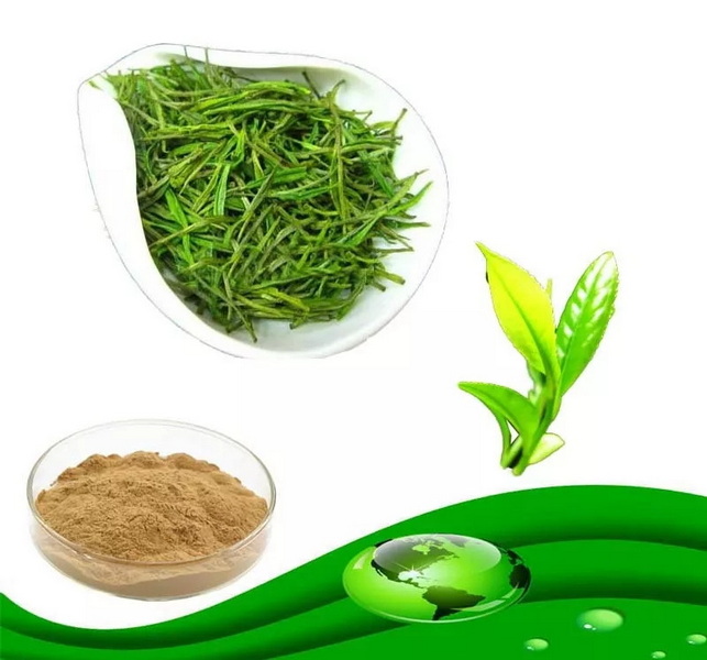 What The Lds Church Green Tea Extract (2)