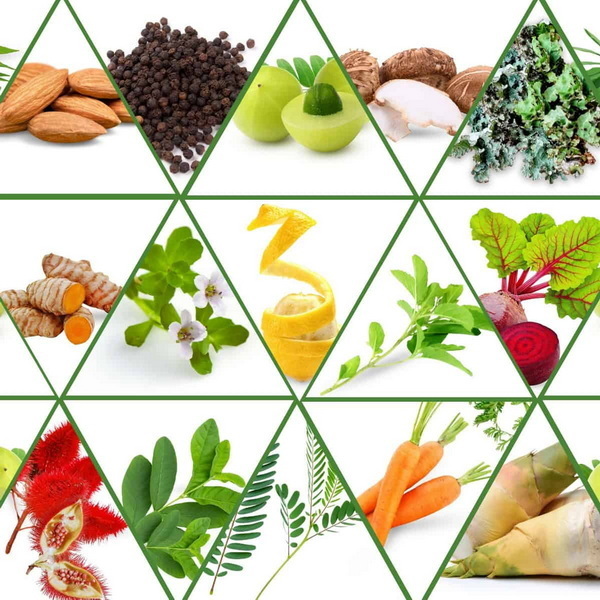 Top Organic Extracts Manufacturers and Suppliers in Spain