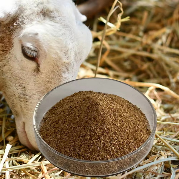 Top Natural Feed Additives Manufacturers and Suppliers in Halifax