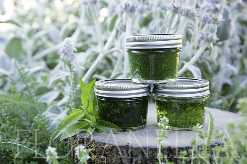 Top Herbal Extracts Manufacturers and Suppliers in Vancouver