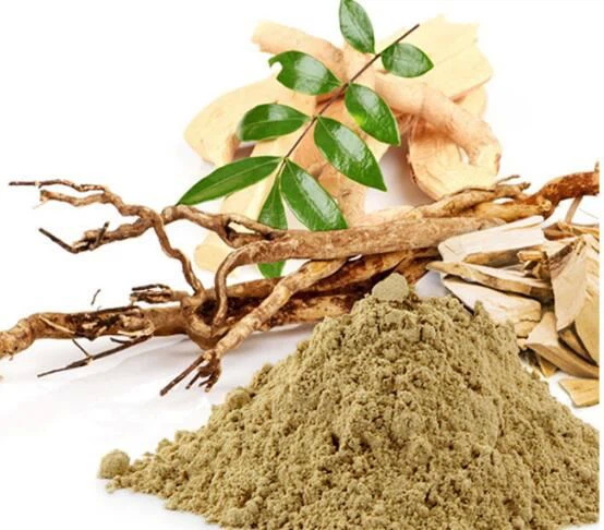 Top 10 Tongkat Ali Extracts Manufacturer in USA