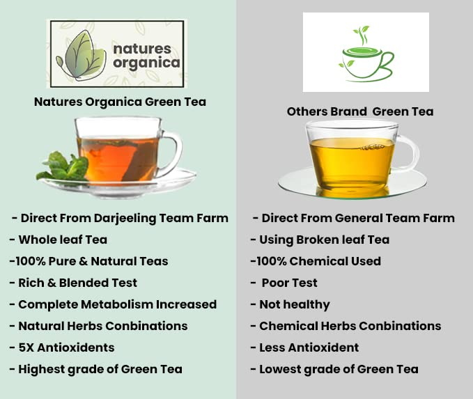 Is Green Tea Extract Good for Thyroid?