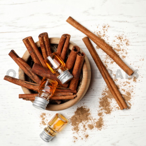 Top 10 Cinnamon Bark Extract Manufacturers in USA
