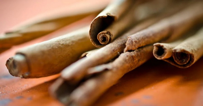 Is Gaia Cinnamon Bark Extract Effective for Blood Sugar Control?