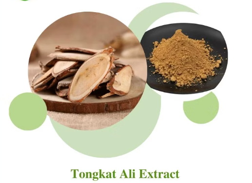 Oem Tongkat Ali Extract_2