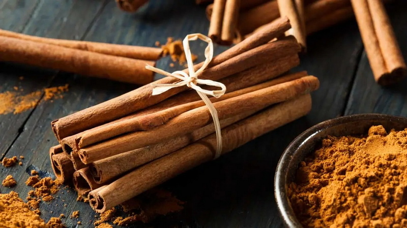 Can China Cinnamon Bark Extract Improve Digestion And Gut Health?