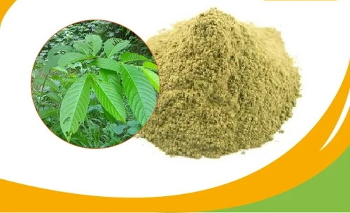 What Are The Key Ingredients in Banaba Leaf Extract Powder