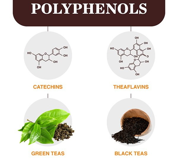What Contains Green Tea Extract?
