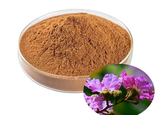 What Are The Common Uses of Banaba Leaf Extract