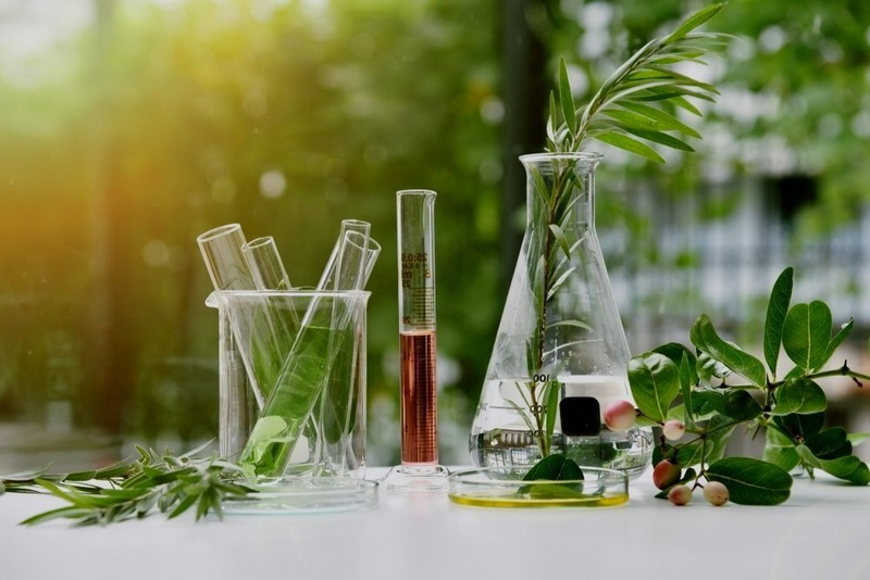 Bulk Botanical Extract Supplier