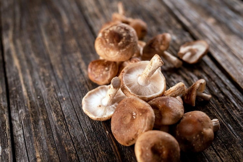 Top Mushroom Extracts Manufacturers in Spain