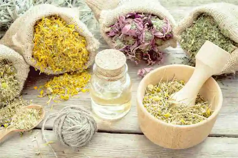 Natural Extract Manufacturers
