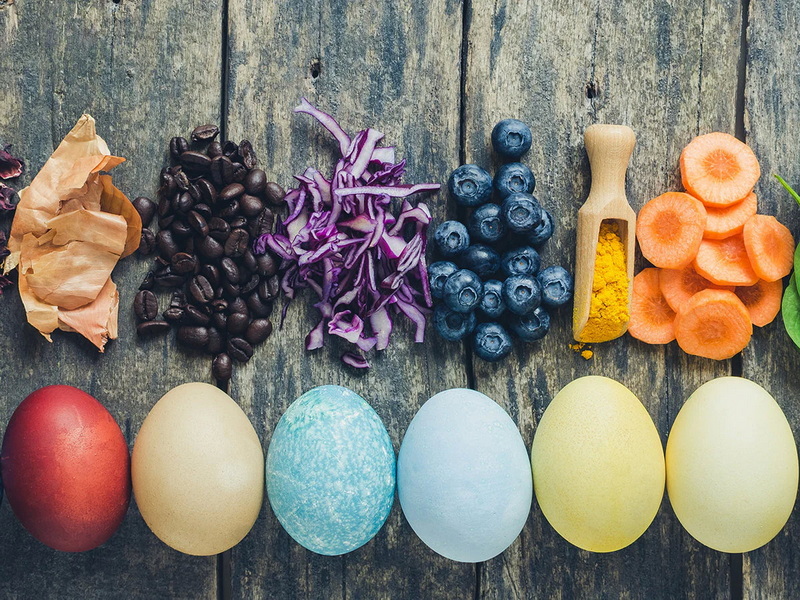 Natural Food Colors Factory