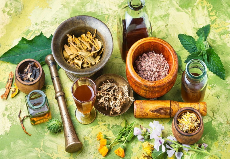 Top Botanical Extracts Manufacturers in France