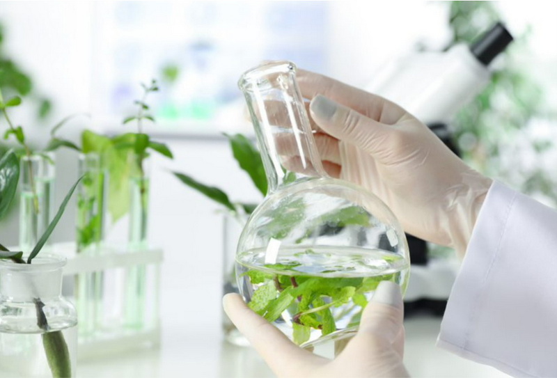 Top Botanical Extracts Manufacturers in Japan