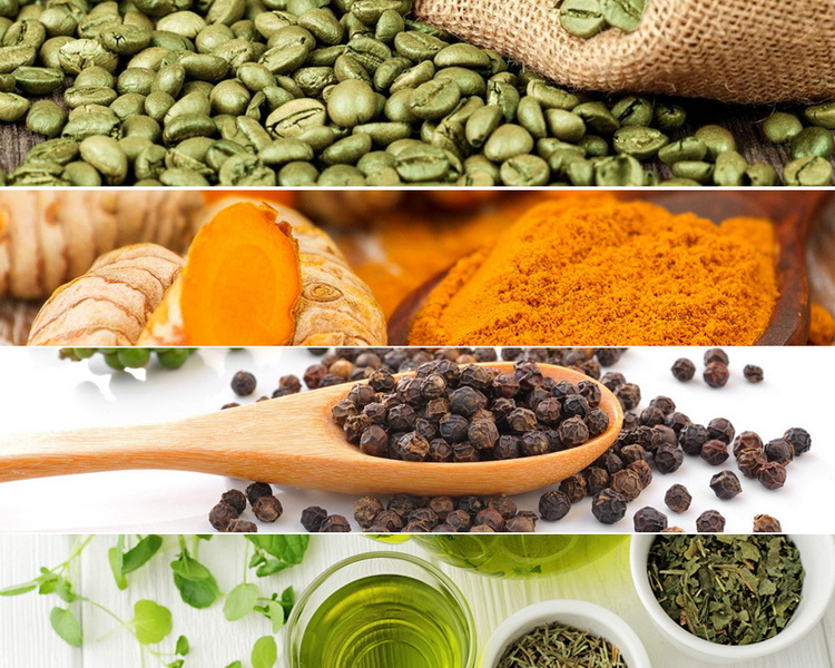 Top Herbal Extracts Manufacturers and Suppliers in Toronto
