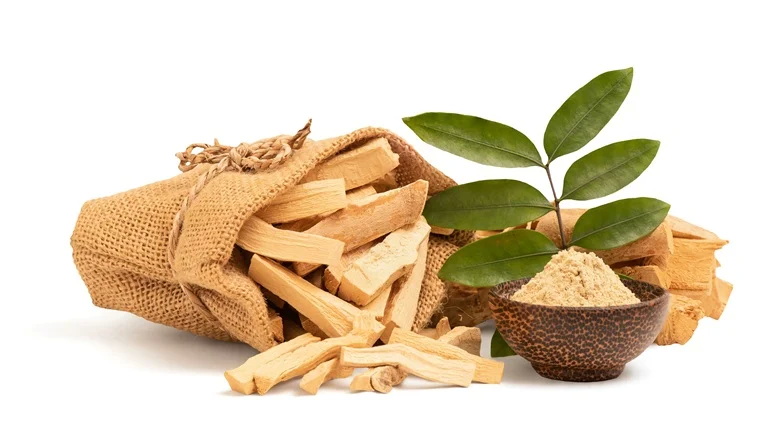 Tongkat Ali Extracts