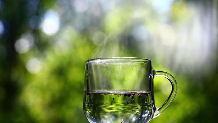 Green Tea Liquid Extract