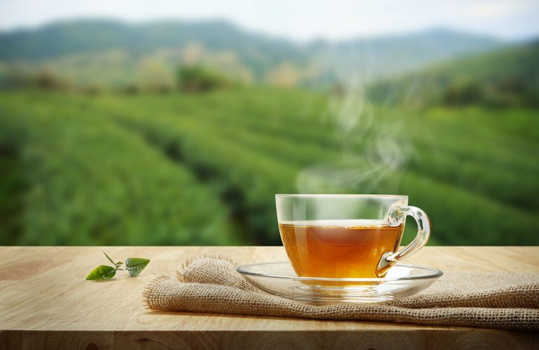 green tea extract_5_1