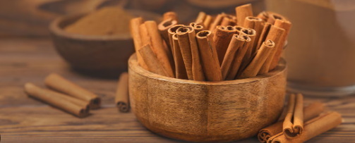 What Are The Top Uses of Cinnamon Bark Extract in Modern Medicine