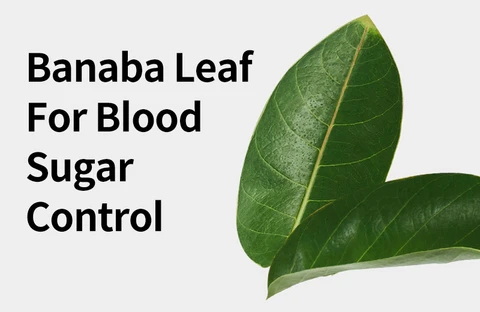 What Is Banaba Leaf Extract Used For?