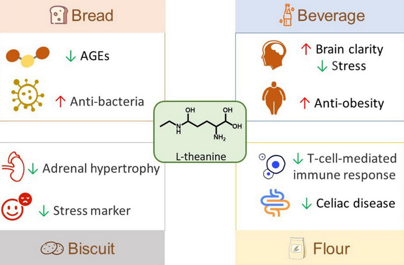 How Does Green Tea L-Theanine 60% Support Bone Health?