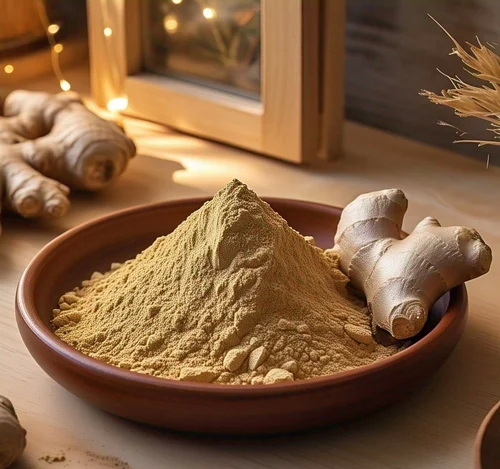 CO2 Extraction Plants