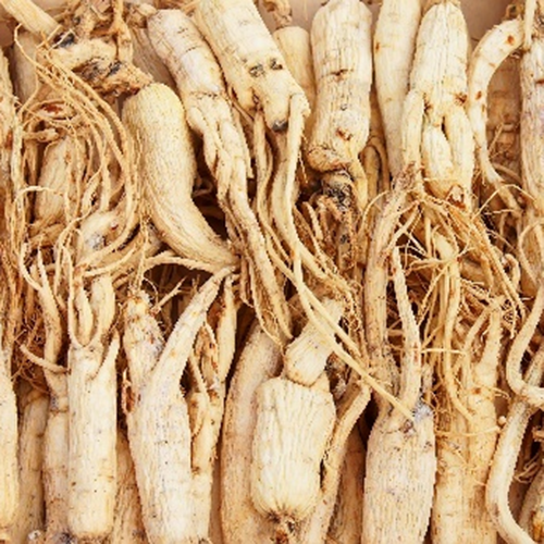 What Is China Ginseng Root Extract Used For?