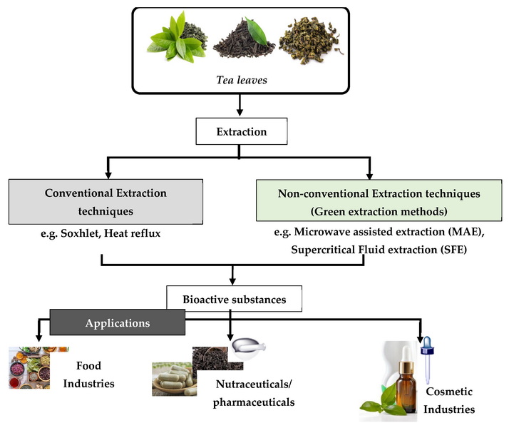 How To Extract Caffeine From Green Tea_3