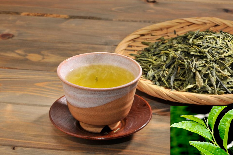 green tea extract_10