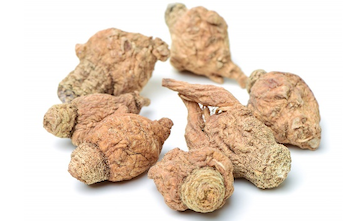 Maca Extract Manufacturer