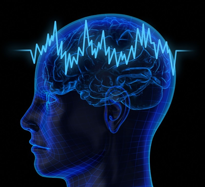 theanine for brain