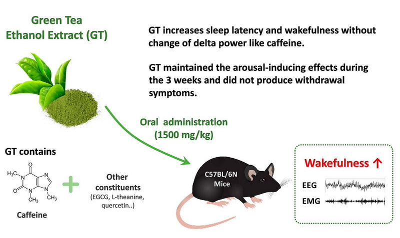 Why Green Tea Extract Is Bad?