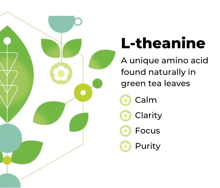 Is Green Tea L-Theanine 60% the Best Natural Mood Stabilizer