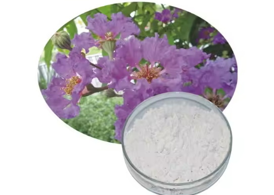 Kan Banaba Leaf -extract voldoen aan de toenemende vraag naar natuurlijke ingrediënten