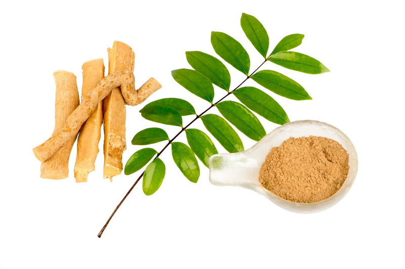 How Does Personalized Tongkat Ali Extract Improve Performance
