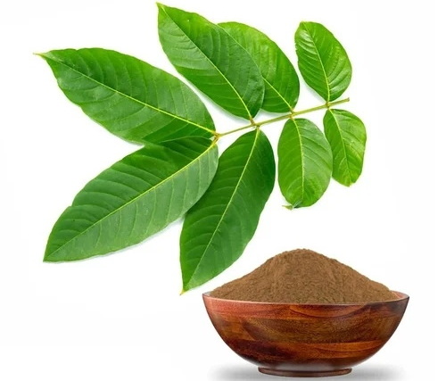 What Are The Key Ingredients in Vitacost Banaba Leaf Extract?
