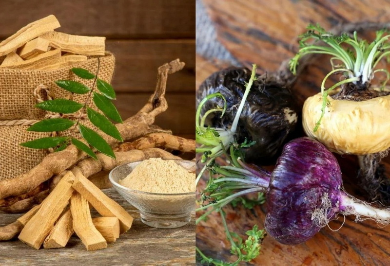 Tongkat Ali Extract vs Maca Which is Better for Hormone Balance