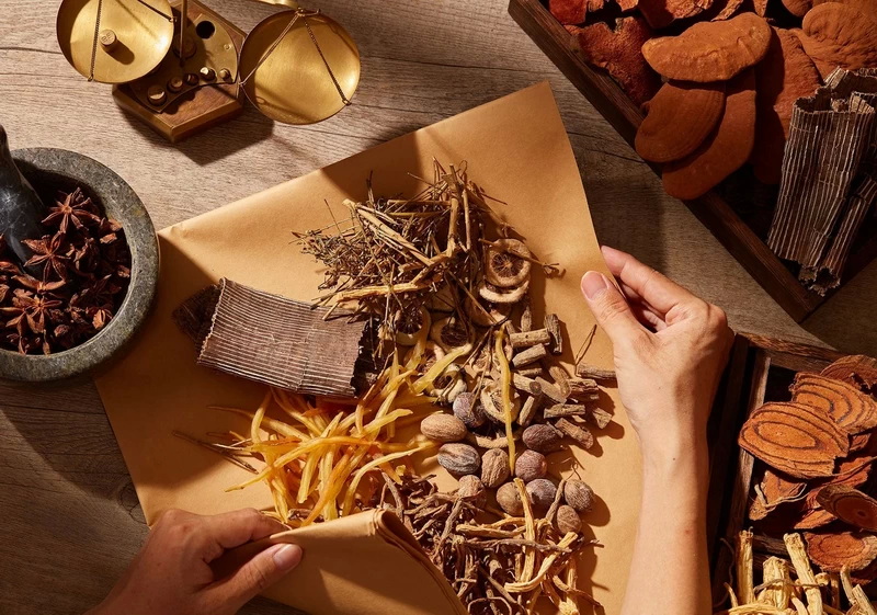 Top Mushroom Extracts Manufacturers in France