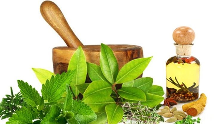 Top Herbal Extracts Manufacturers And Suppliers In Germany