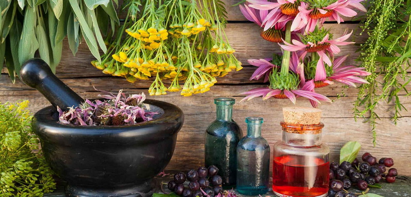 Top Botanical Extracts Manufacturers in Russia