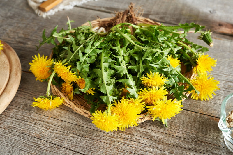Top Natural Feed Additives Manufacturers and Suppliers in Vancouver
