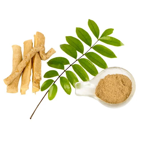 Top Tongkat Ali Extracts Manufacturers in Spain