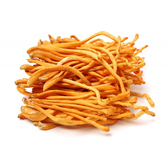 Cordyceps Militaris Extract