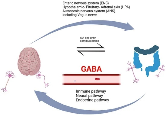 How Much Green Tea Extract To Get Gaba Dopamine Hgh_1
