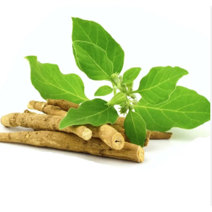 Ashwagandha Extract