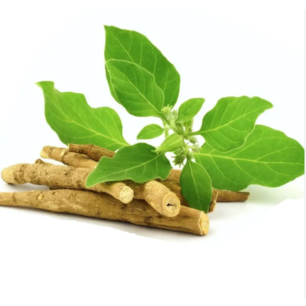 Ashwagandha Extract
